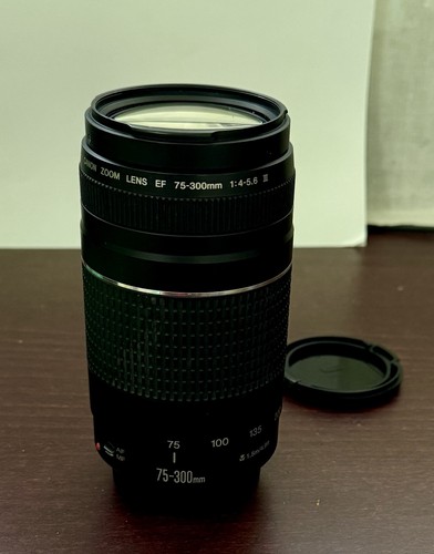 Canon 300mm 5 6 iii - ef, 75-300mm