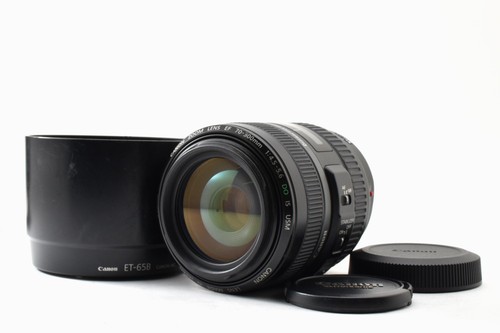Canon 300mm 5 - ef, do