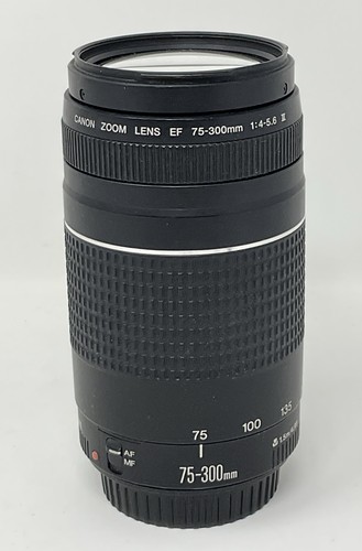 Canon 300mm 5 6 iii - canon, f/4-5.6