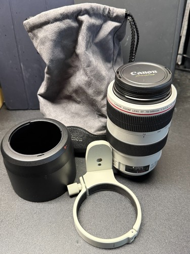 Canon zoom 300mm - zoom, 70-300mm