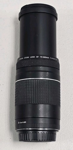 Canon zoom 300mm 4 - zoom, 1:4-5.6