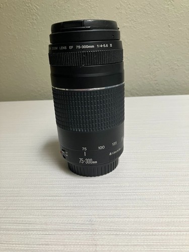 Canon 300mm 5 - canon, iii