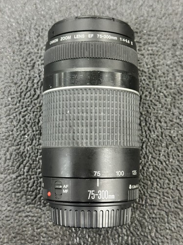 Canon 300mm 5 6 - canon, iii
