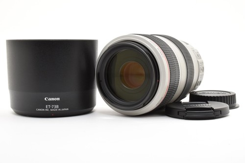 Canon 300mm 5 6 l - l, is