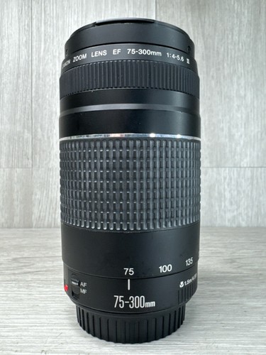 Canon 300mm 5 - canon, f/4-5.6