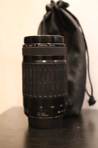Read canon zoom 300mm - read,