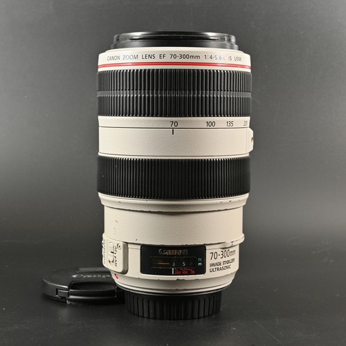 Canon 300mm 5 - canon, 70-300mm