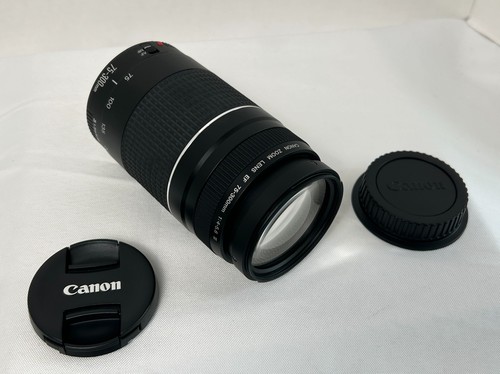 Canon 300mm 5 - 75-300mm, f/4-5.6