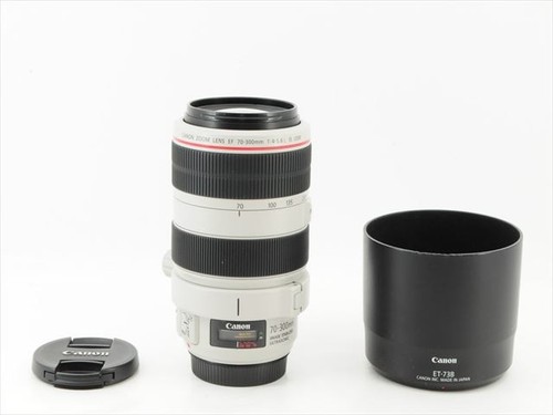 Near mint hood canon - mint, ]