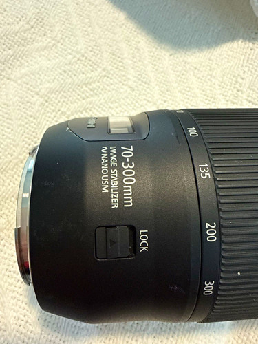 Canon 300mm 5 - canon, f/4-5.6