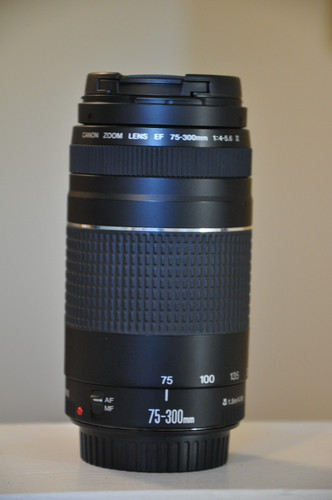 Excellent canon 300mm - excellent,