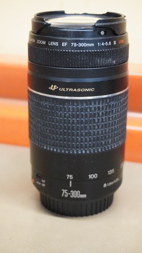 Canon 300mm 5 6 usm - 70-300mm,