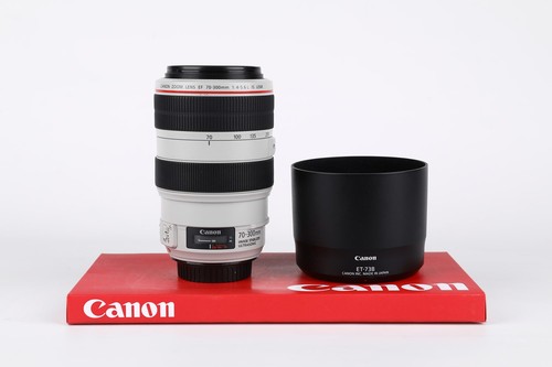 Canon 300mm 6 l is - 70-300mm,