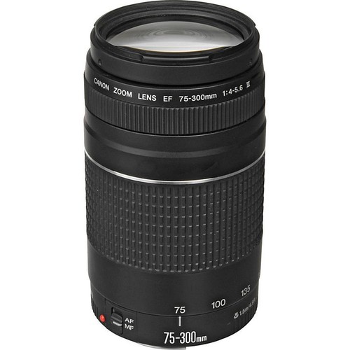 Canon 300mm 5 - ef, iii