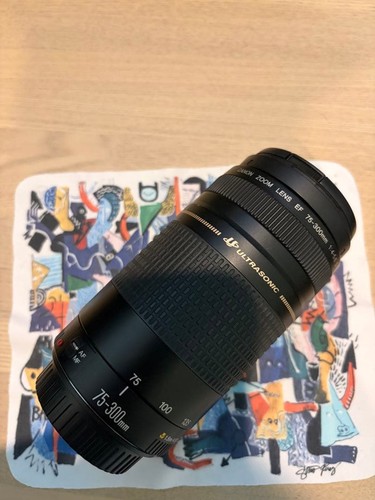 Canon zoom lens 300 - canon,