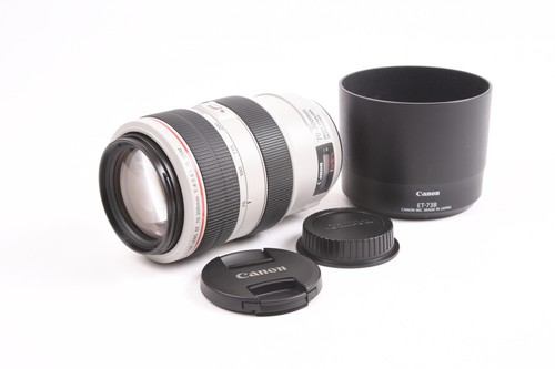 Canon 300mm 5 6 l - l, is