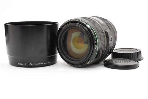 Canon 300mm 5 6 - canon, ef