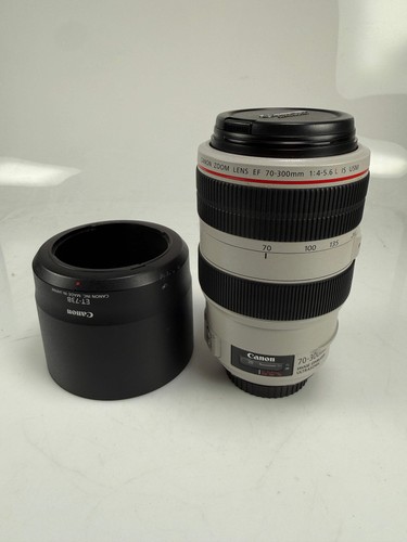 Canon 300mm 6 l is - ef, f4-5.6