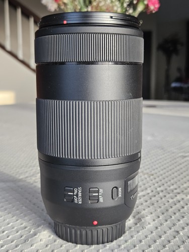 Canon 300mm 5 - f/4-5.6, is